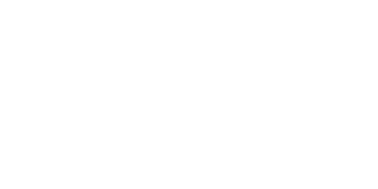 Mainstream Arachnids