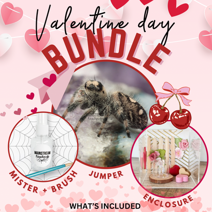 Valentine’s Day Bundle