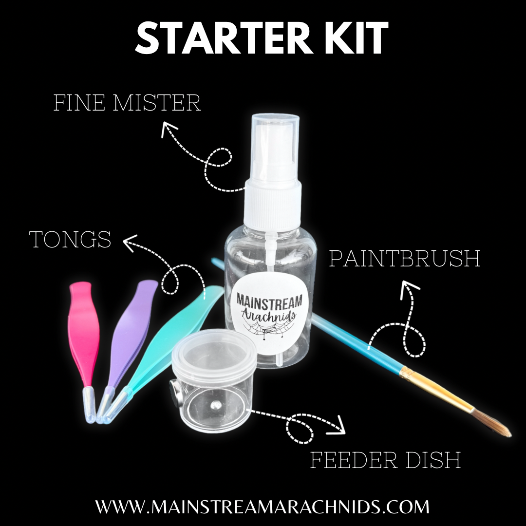 STARTER KITS