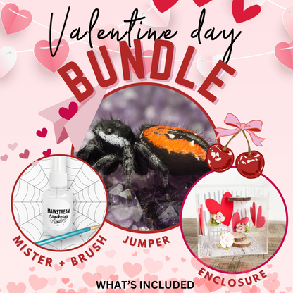 Valentine’s Day Bundle